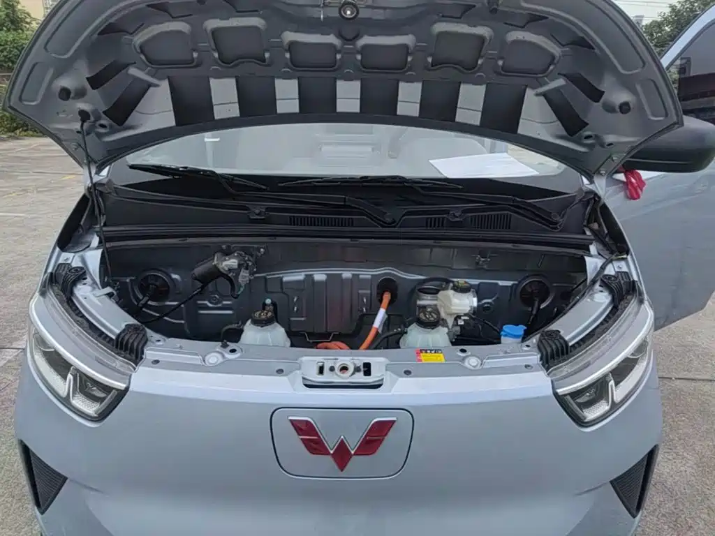 Wuling Yangguang — миниатюра 20