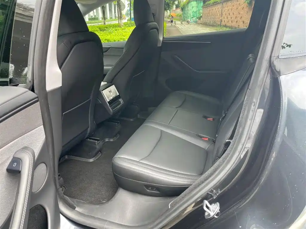 Tesla Model Y — миниатюра 5