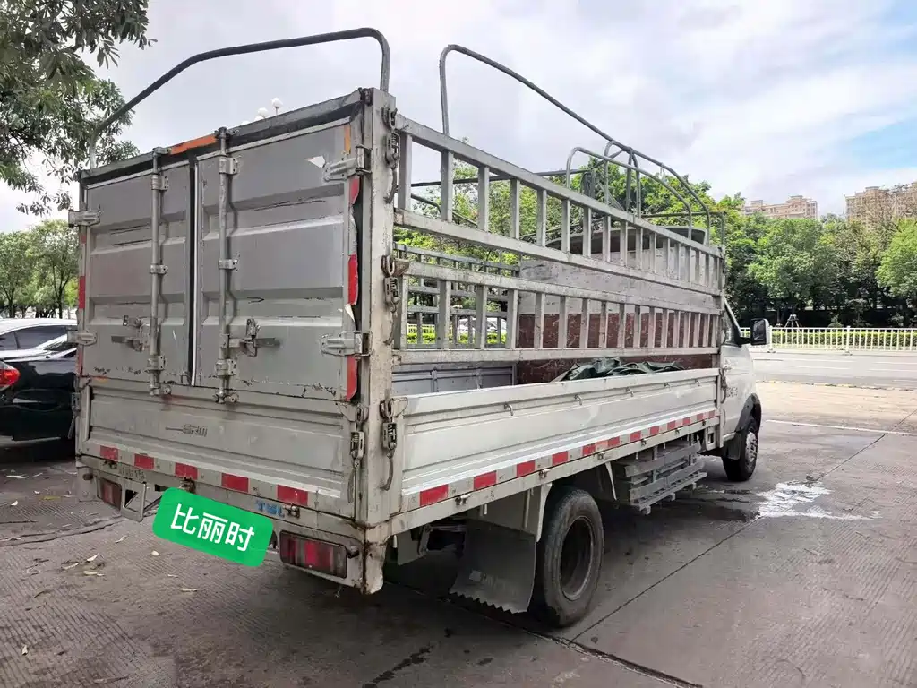 Сычуань. 鑫源T5L EV — миниатюра 4