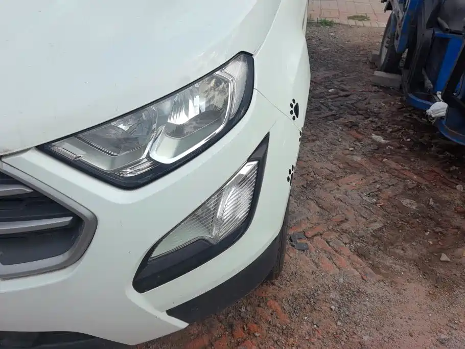 Ford Ecosport — миниатюра 5