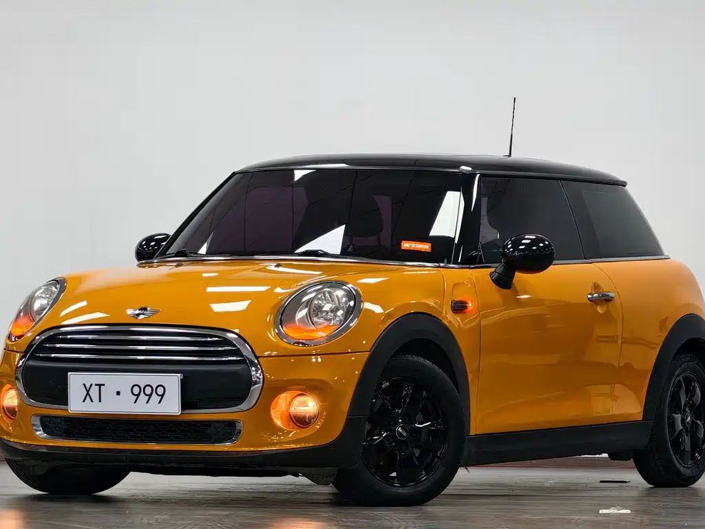 Mini Mini 2017