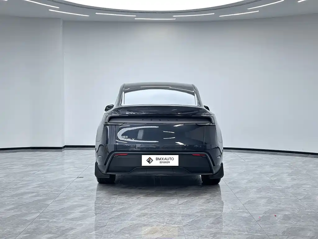 Tesla Model Y — миниатюра 3