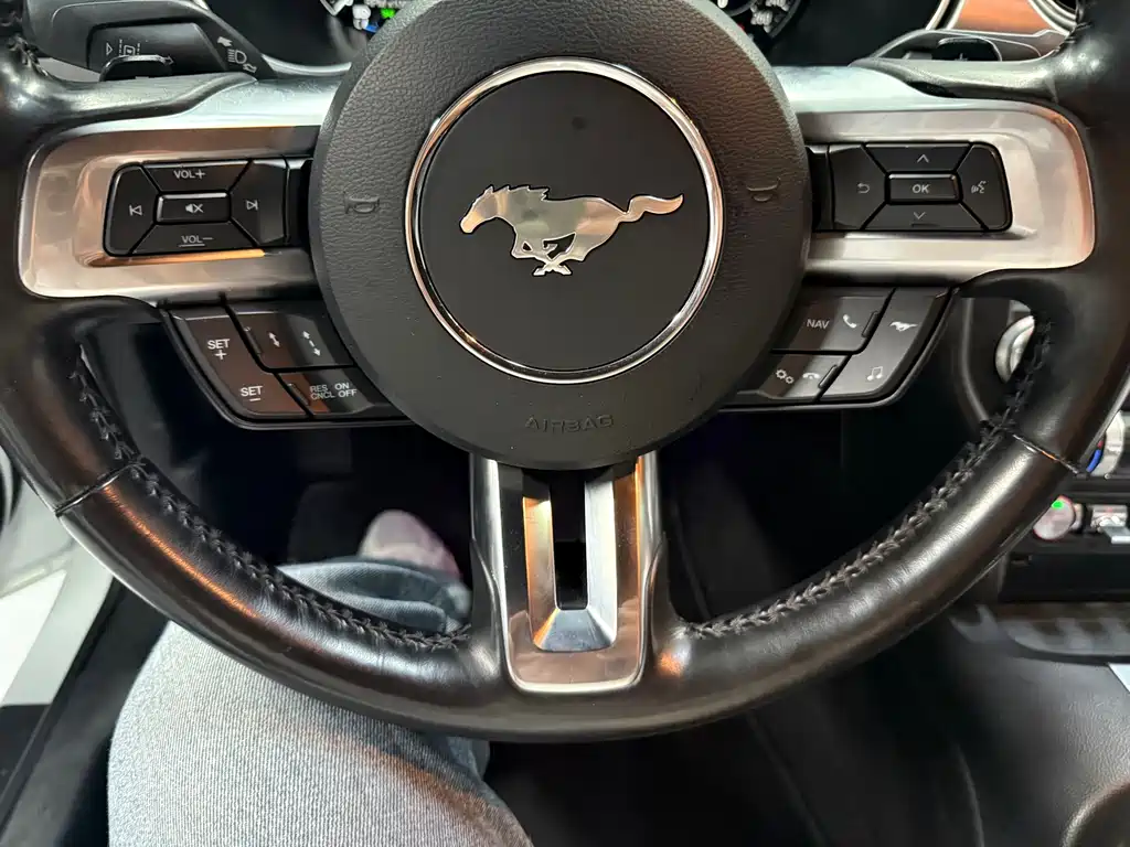 Ford Mustang — миниатюра 9