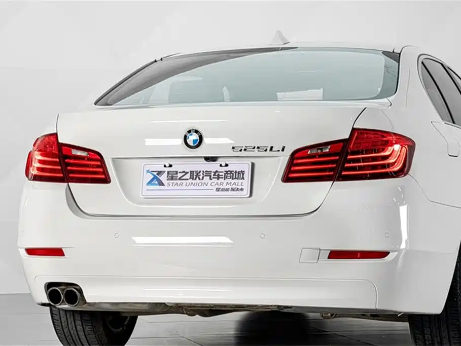 BMW 5 Series 5 2014 525Li Lead