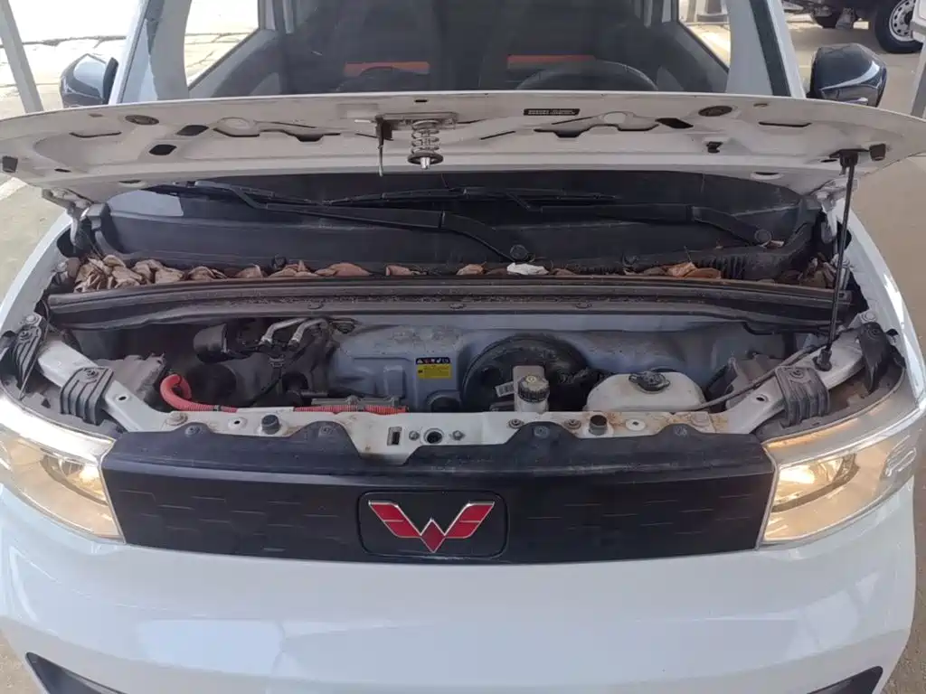 Wuling MINIEV — миниатюра 20
