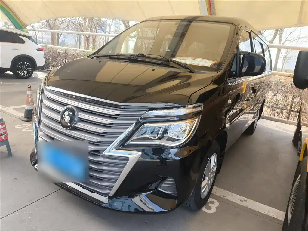 Fengxing Lingzhi 2024