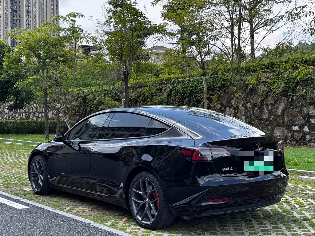 Tesla Model 3 — миниатюра 9