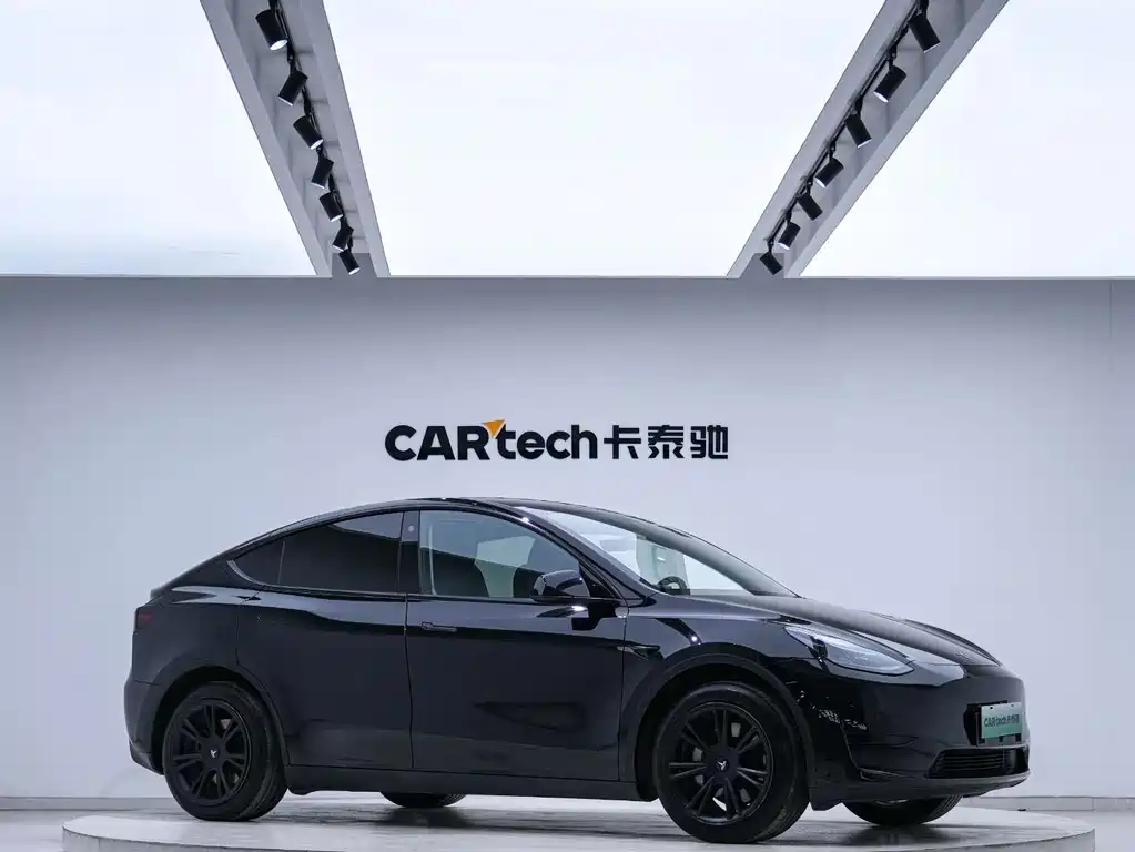 Tesla Model Y — миниатюра 5