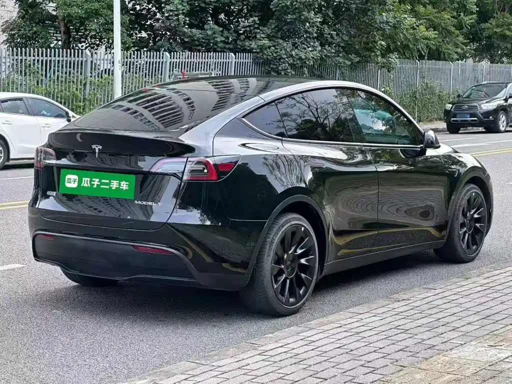 Tesla Model Y — миниатюра 7