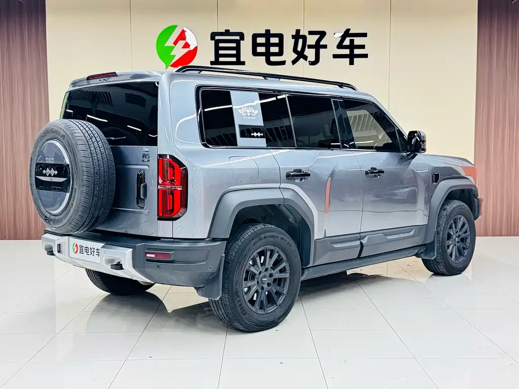 FANG CHENG BAO LEOPARD 5