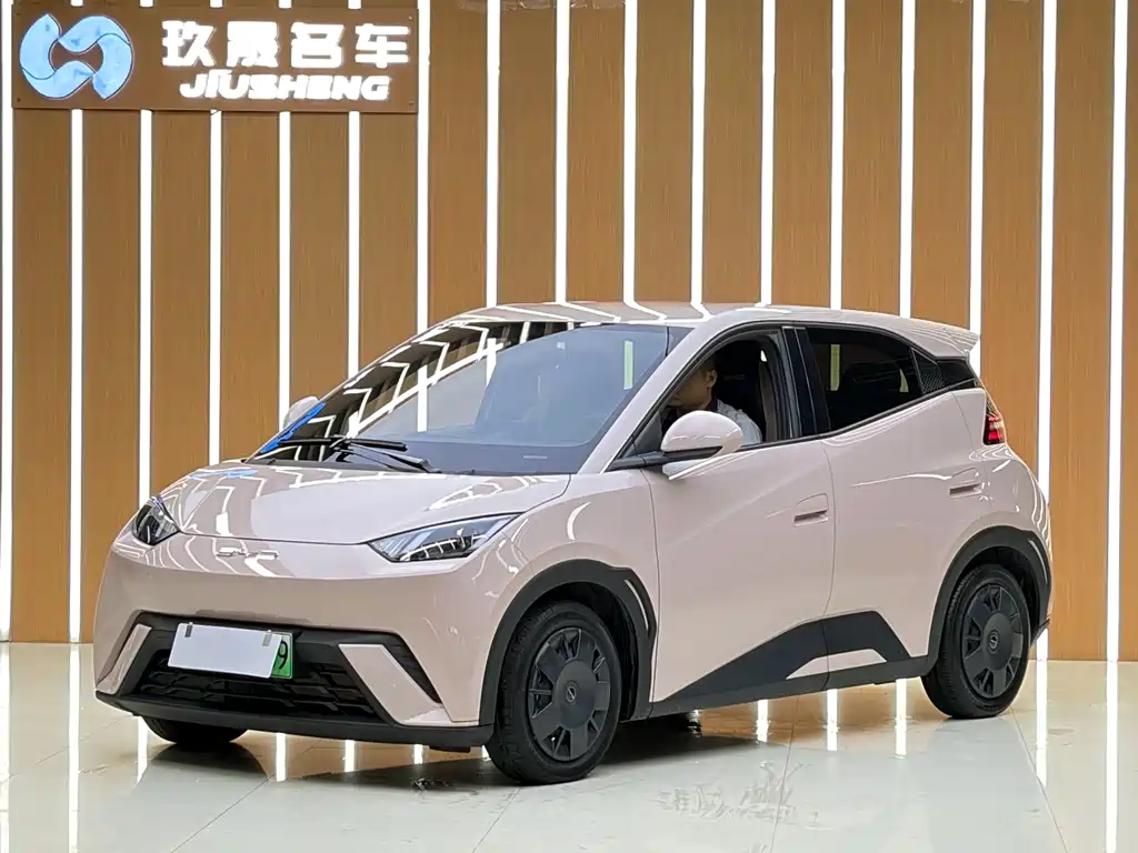 BYD Seagull