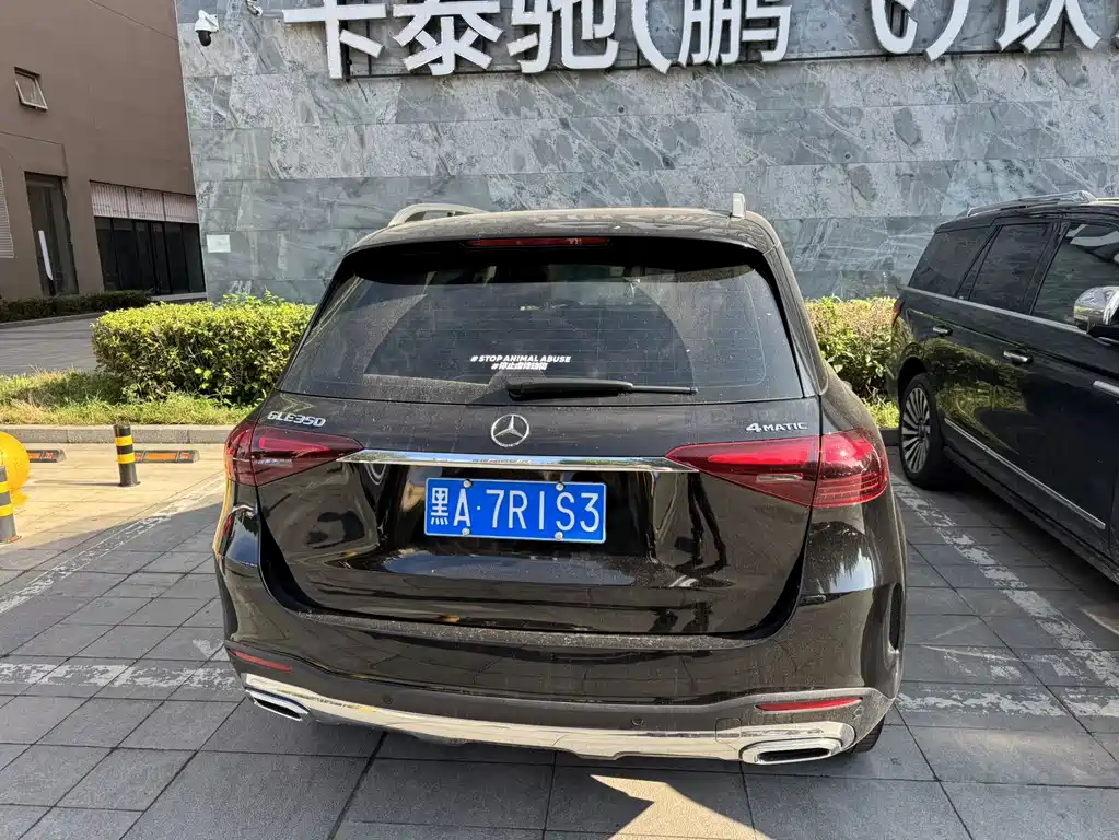 Mercedes-Benz 奔驰GLE(进口) — миниатюра 5