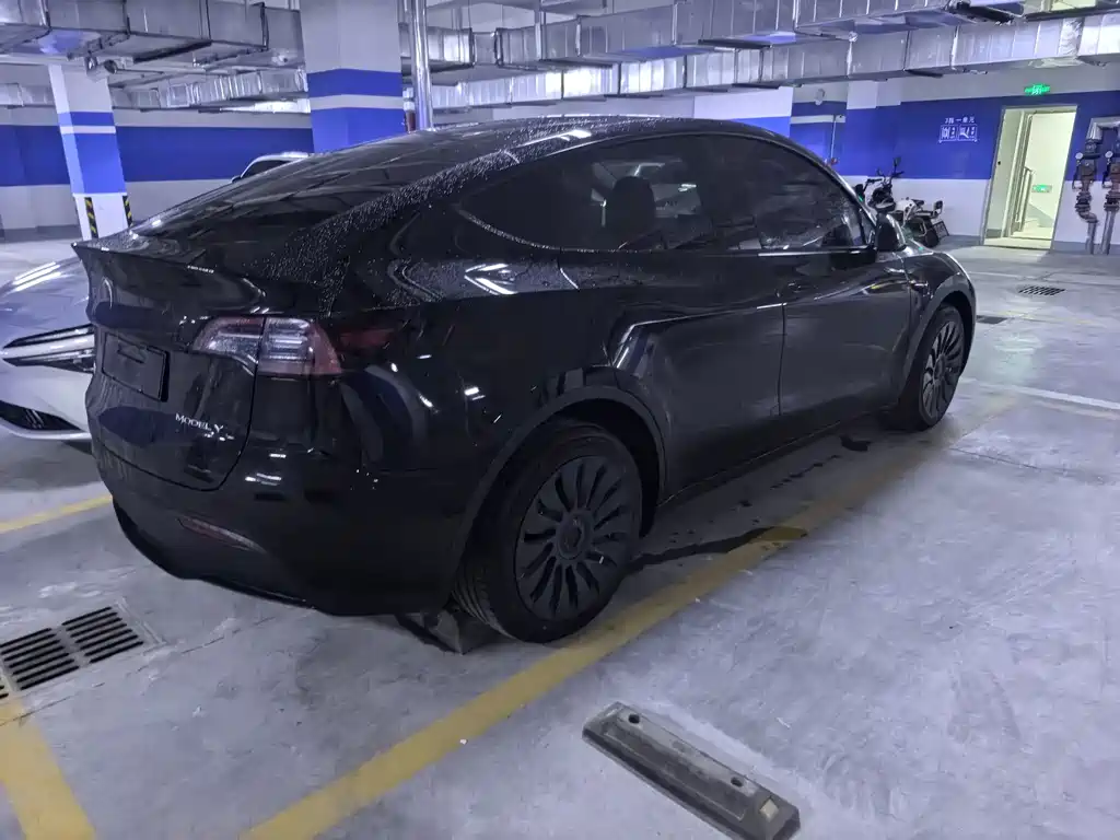 Tesla Model Y — миниатюра 4