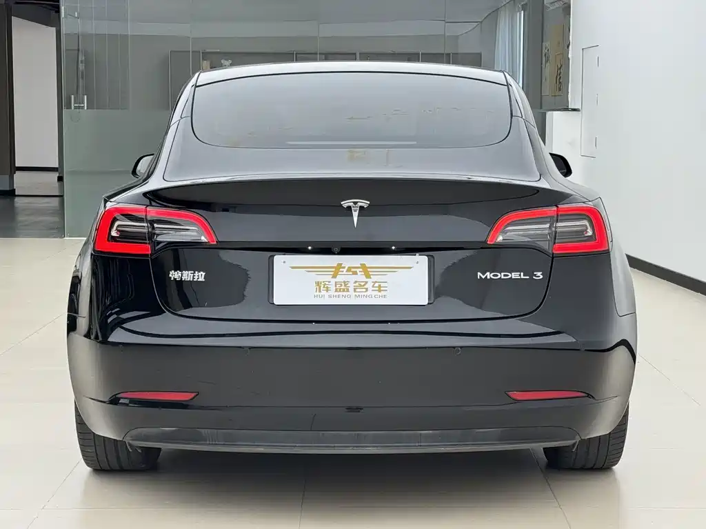 Tesla Model 3 — миниатюра 6