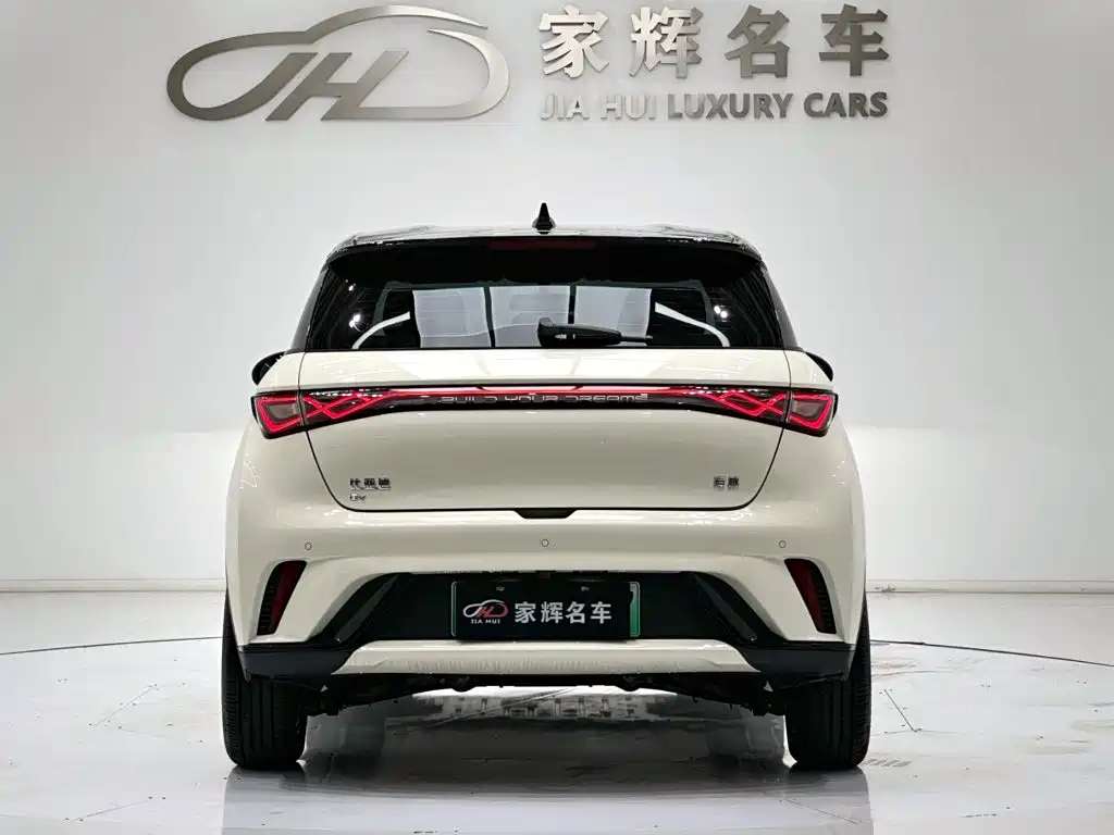 BYD Dolphin — миниатюра 6