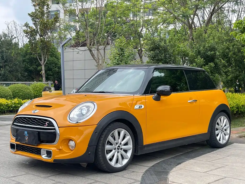 Mini Mini 2014