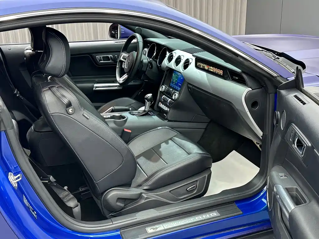 Ford Mustang — миниатюра 20