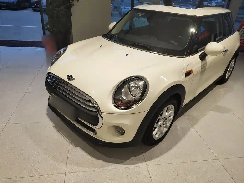 Mini Mini 2018