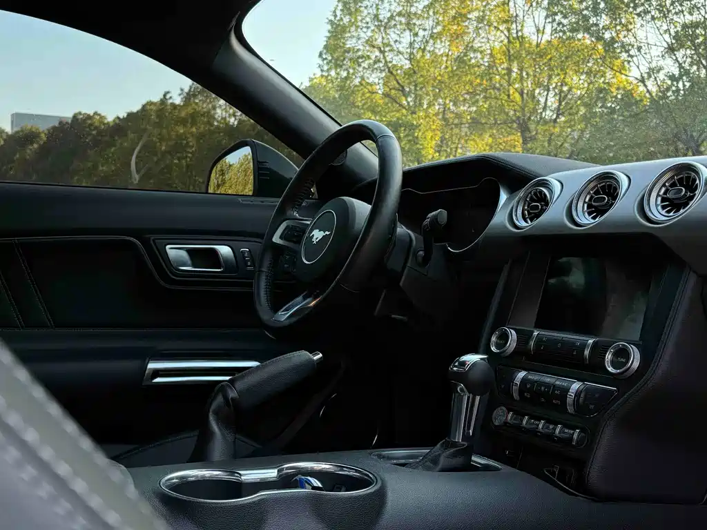 Ford Mustang — миниатюра 12