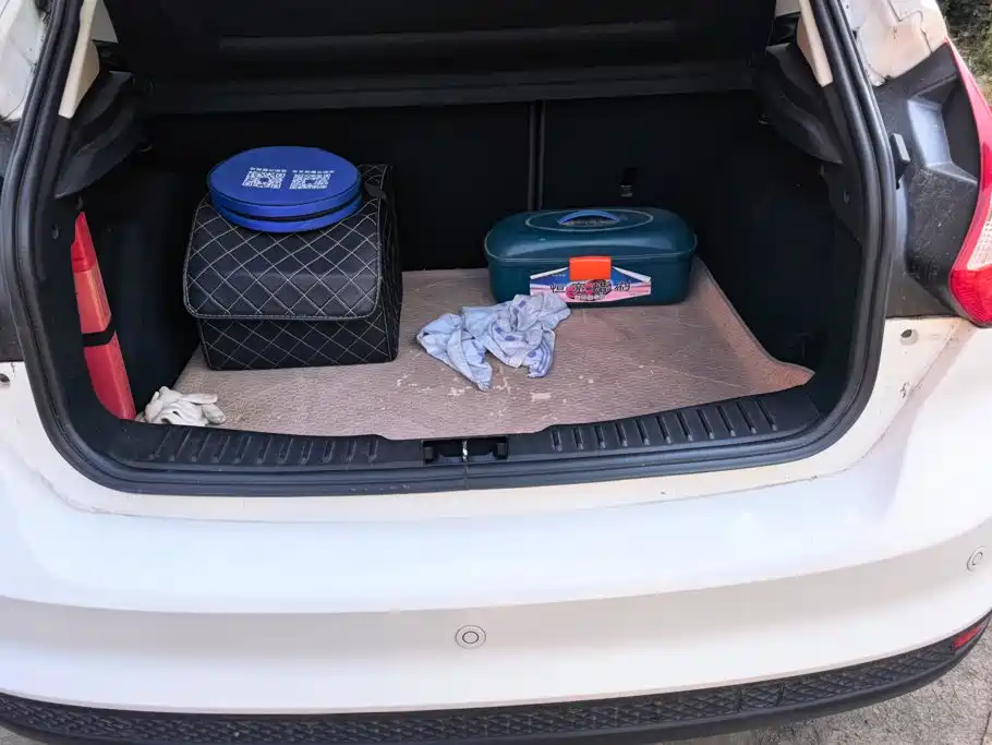 Ford Focus — миниатюра 4
