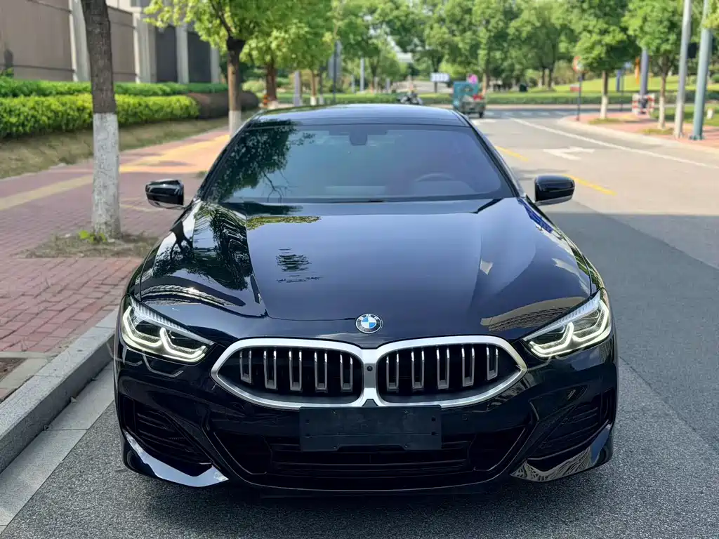 BMW 8 Series — миниатюра 2