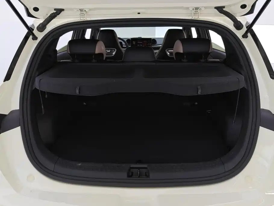 BYD Dolphin — миниатюра 4