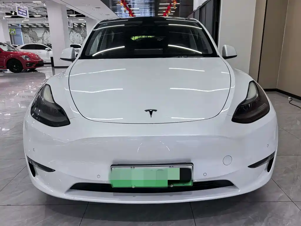Tesla Model Y — миниатюра 2
