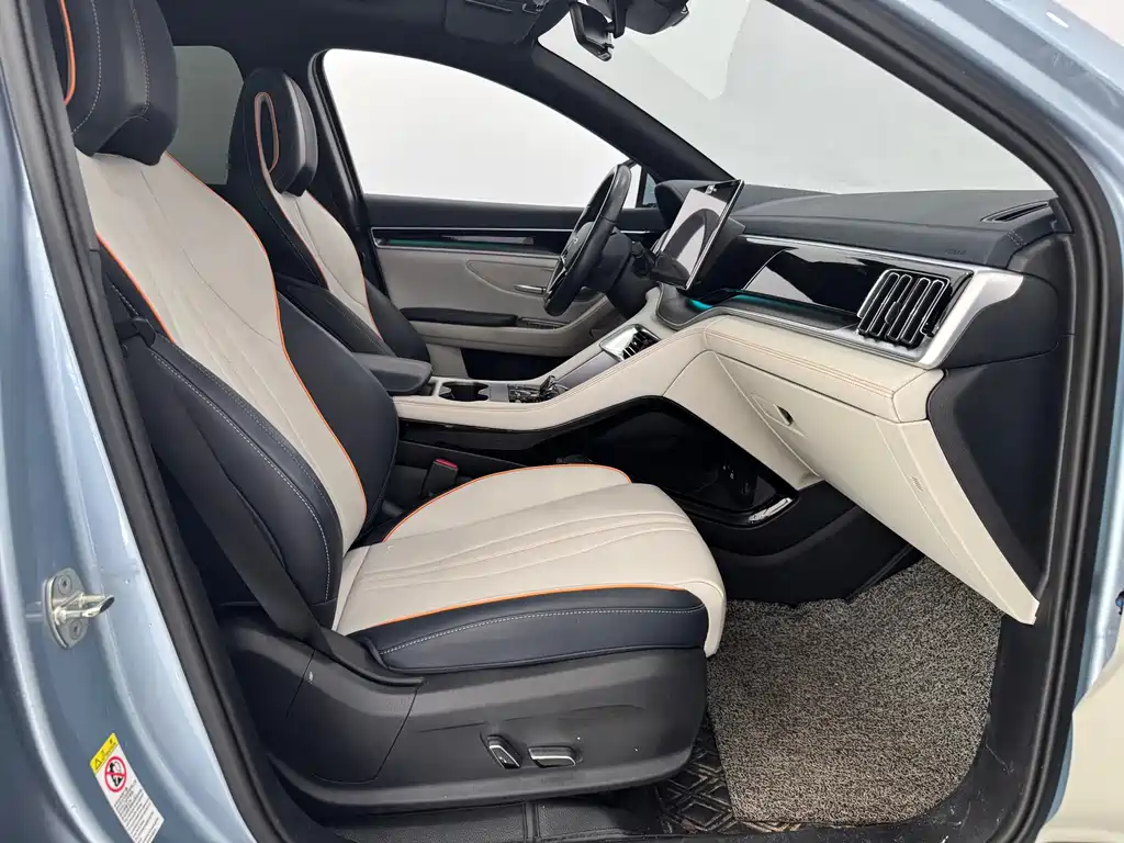 BYD PLUS New Energy — миниатюра 11