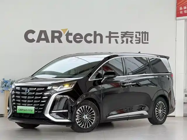 2024 Denza D9