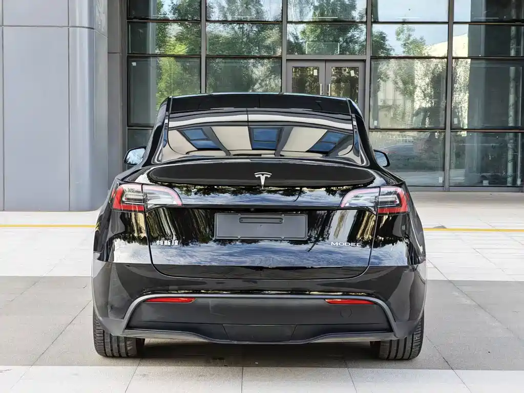 Tesla Model Y — миниатюра 7