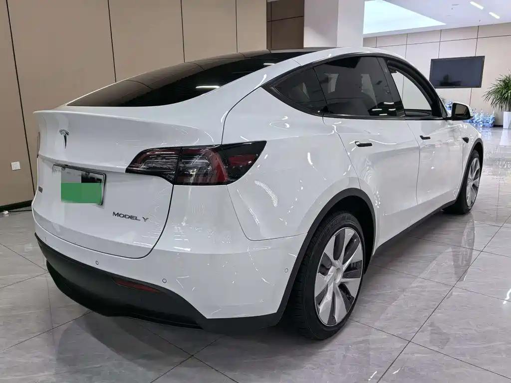 Tesla Model Y — миниатюра 3