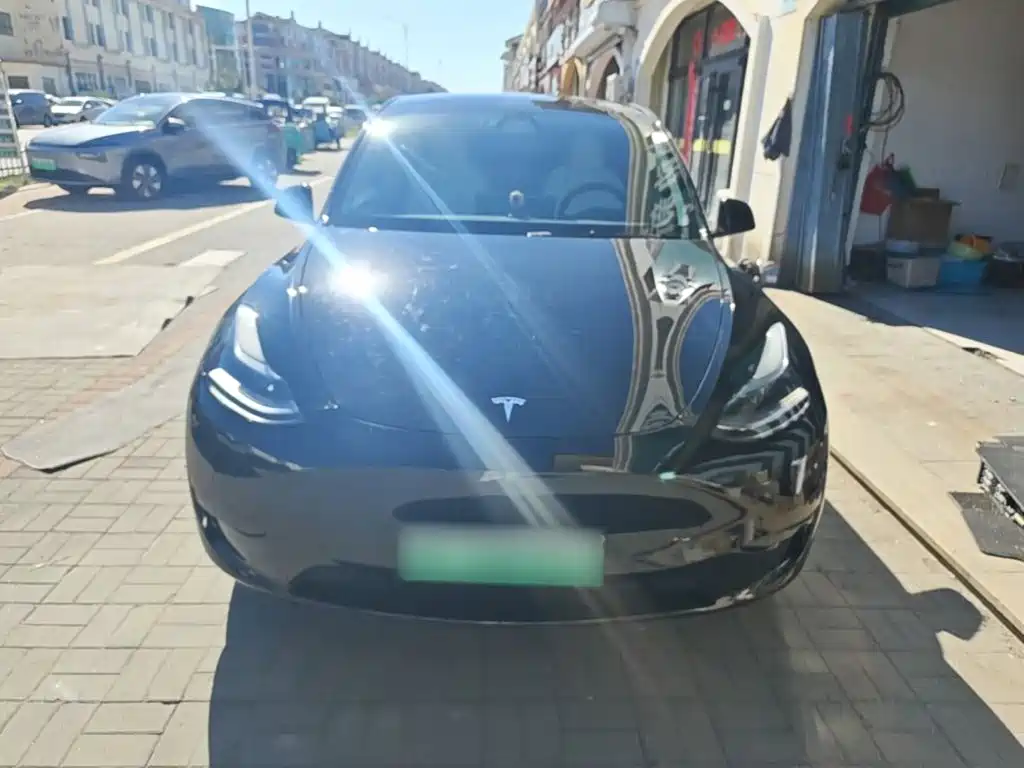 Tesla Model Y — миниатюра 3