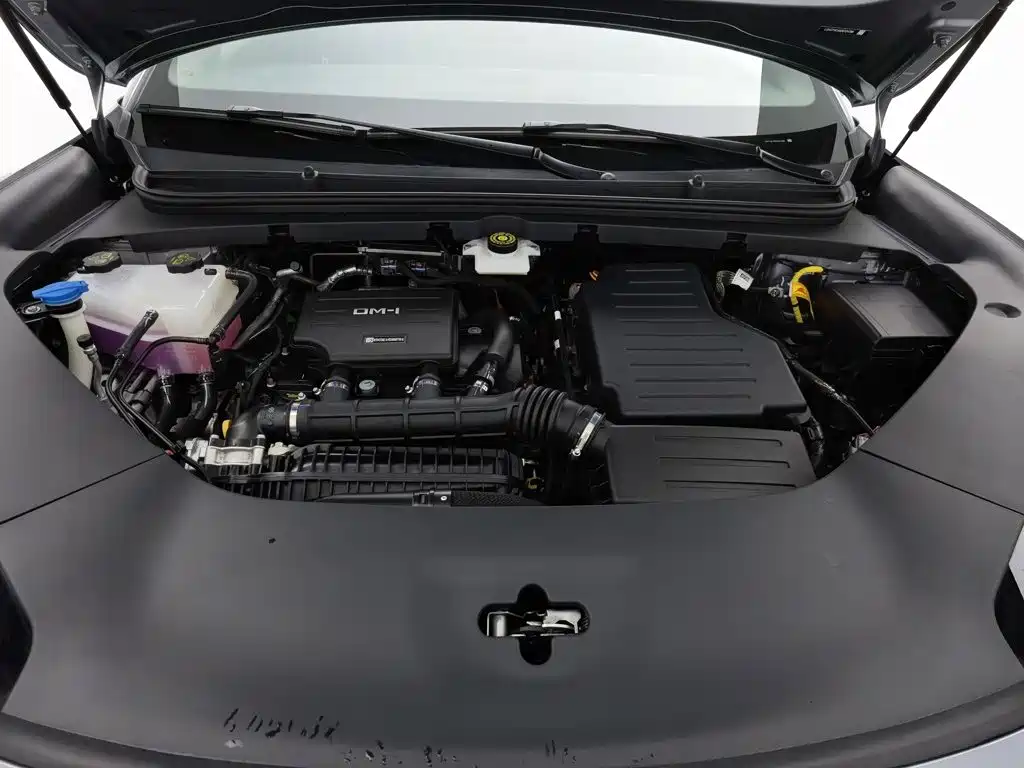 BYD Haisi 06 — миниатюра 6