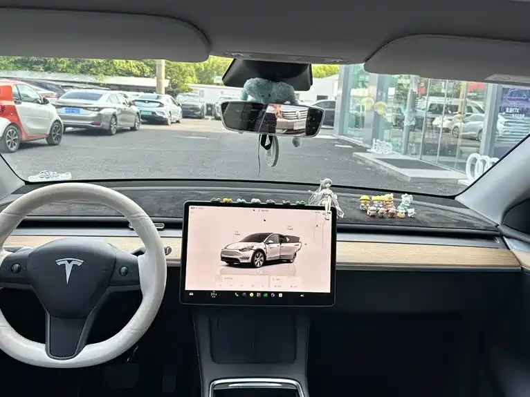 Tesla Model Y — миниатюра 11