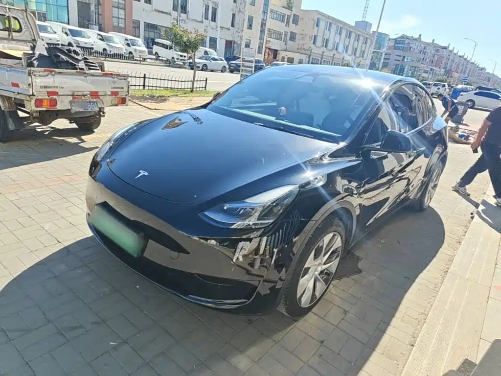 Tesla Model Y — миниатюра 2