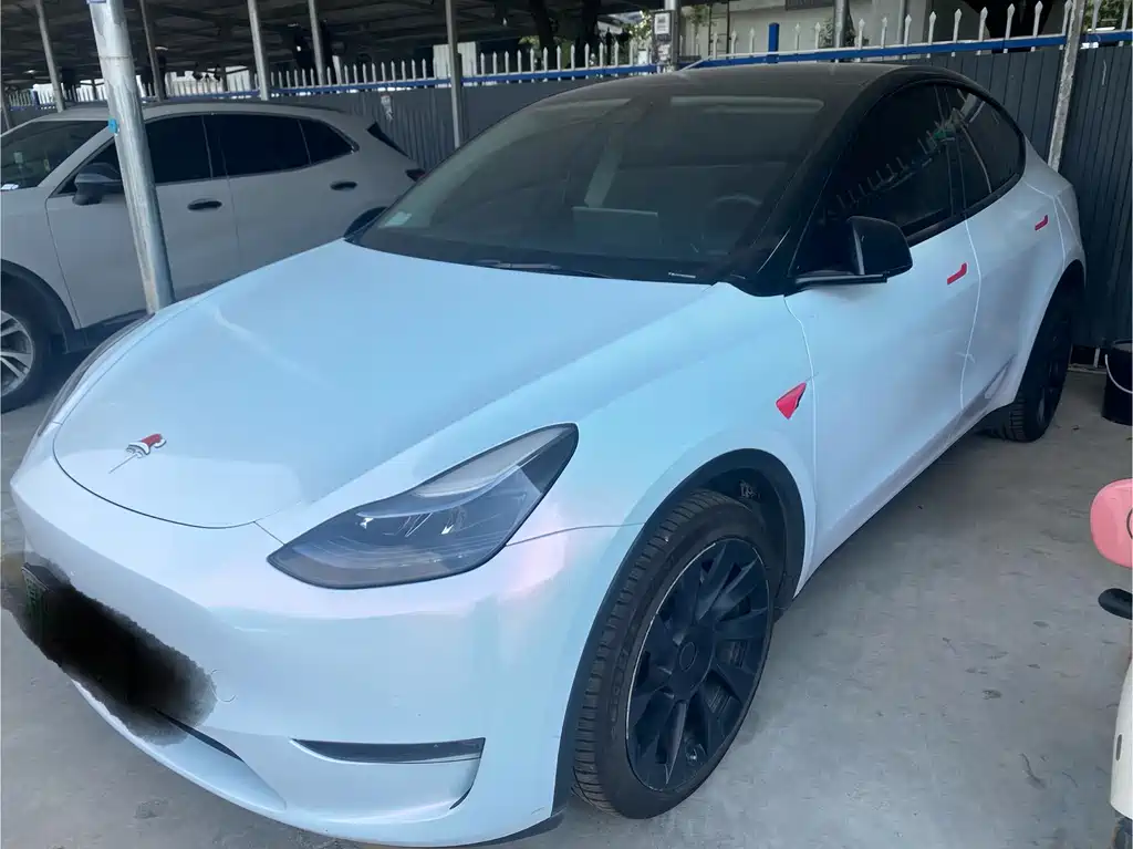 Tesla Model Y — миниатюра 2