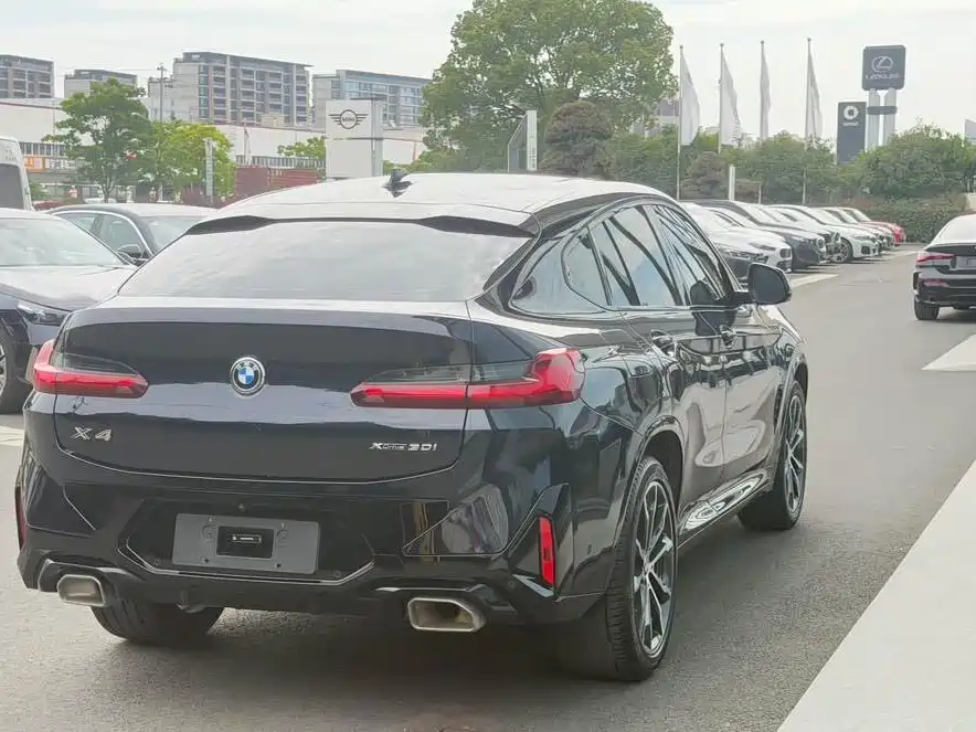 BMW X4 — миниатюра 6