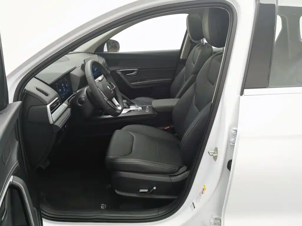 BYD Pro — миниатюра 10