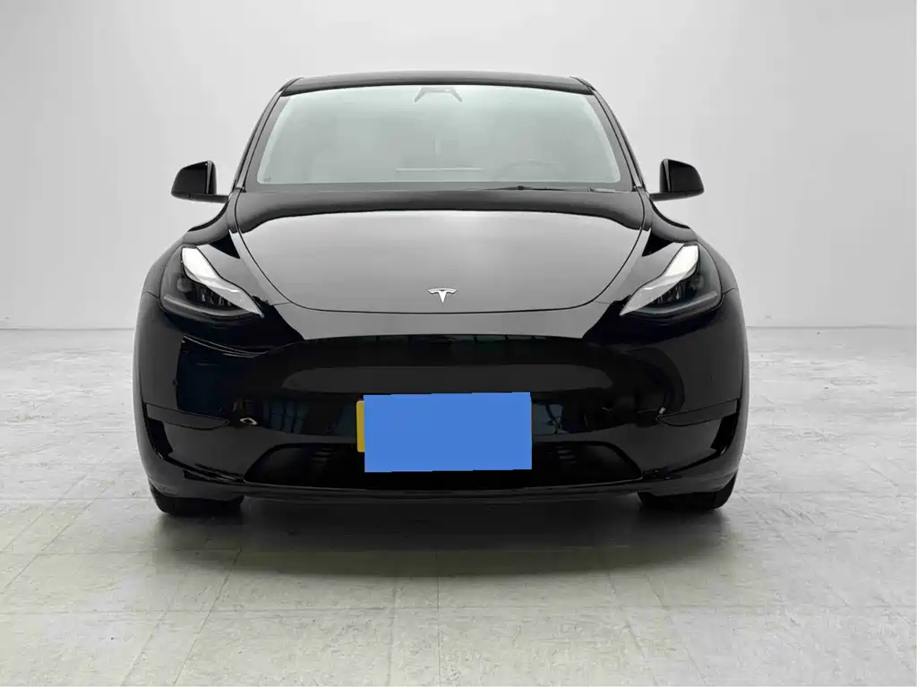Tesla Model Y — миниатюра 2
