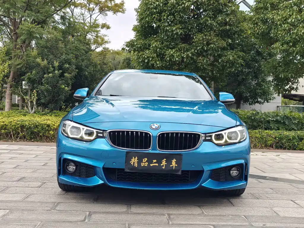 BMW 4 Series — миниатюра 2