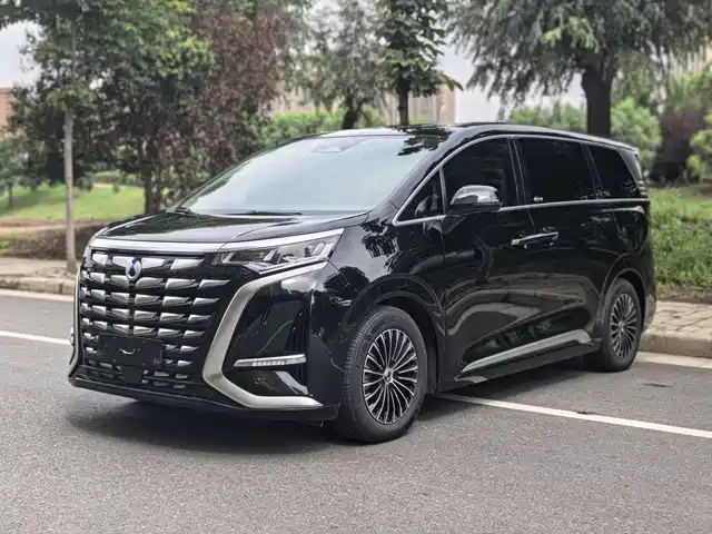2024 Denza D9