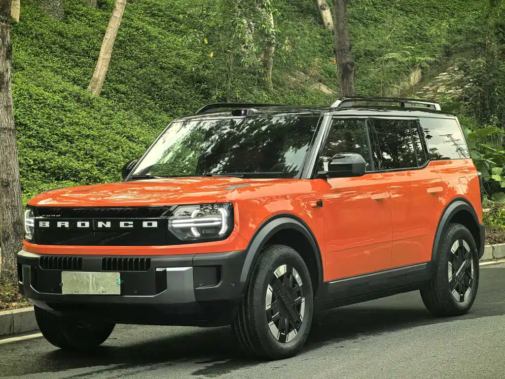 Ford 福特智趣烈马 2025