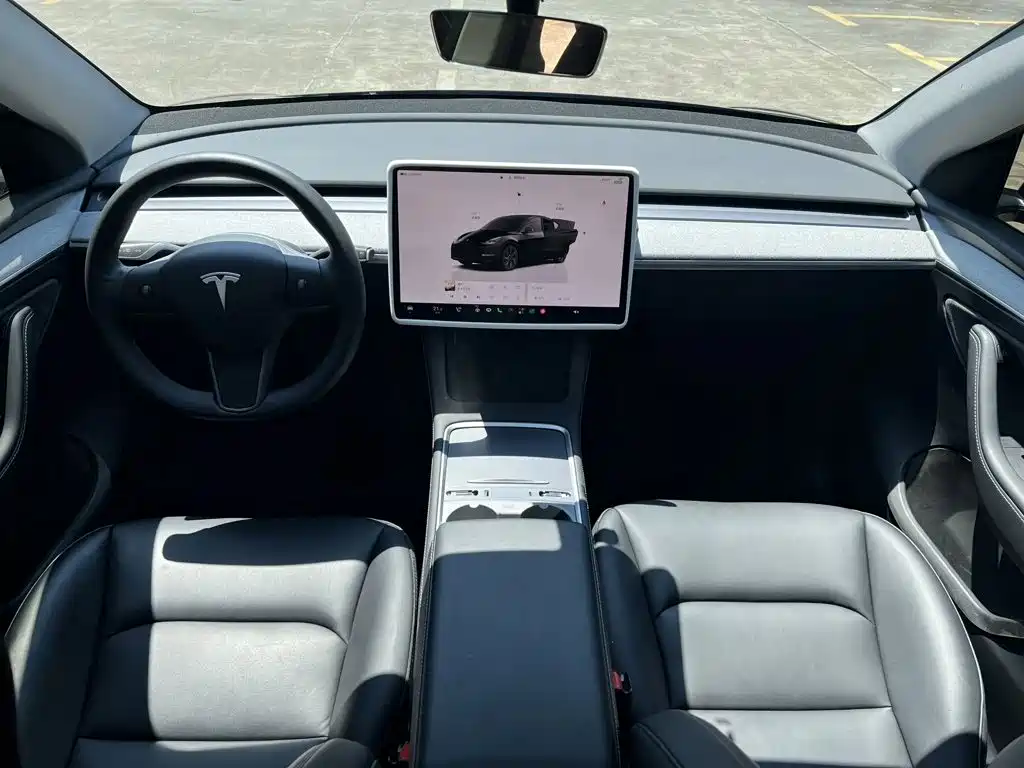 Tesla Model Y — миниатюра 5
