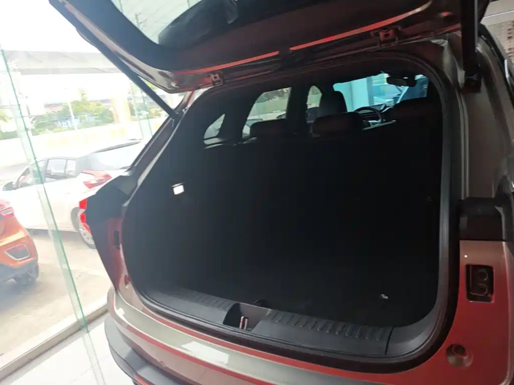 Haval Shenshou — миниатюра 19