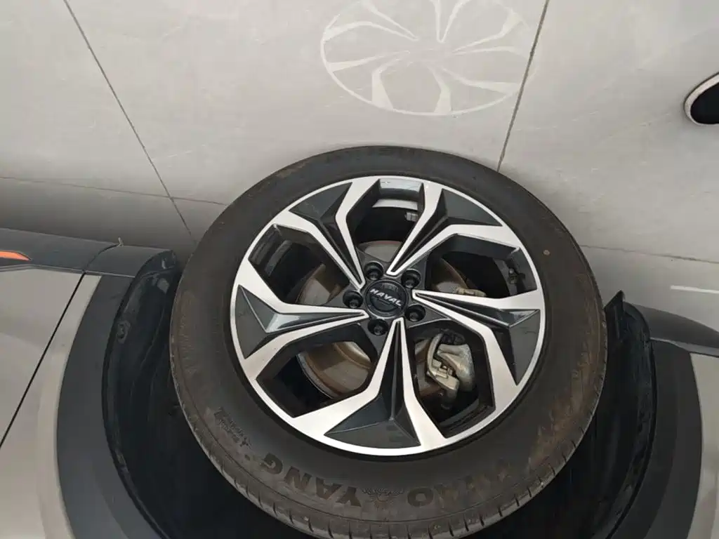 Haval Shenshou — миниатюра 23