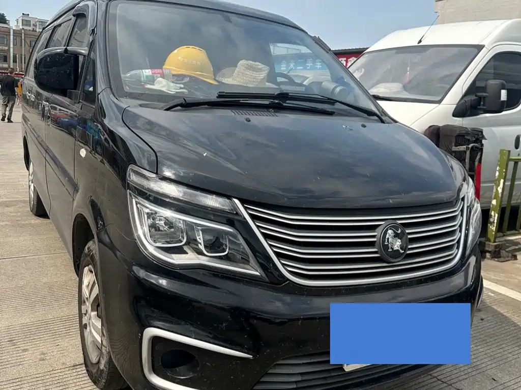 Fengxing Lingzhi 2023