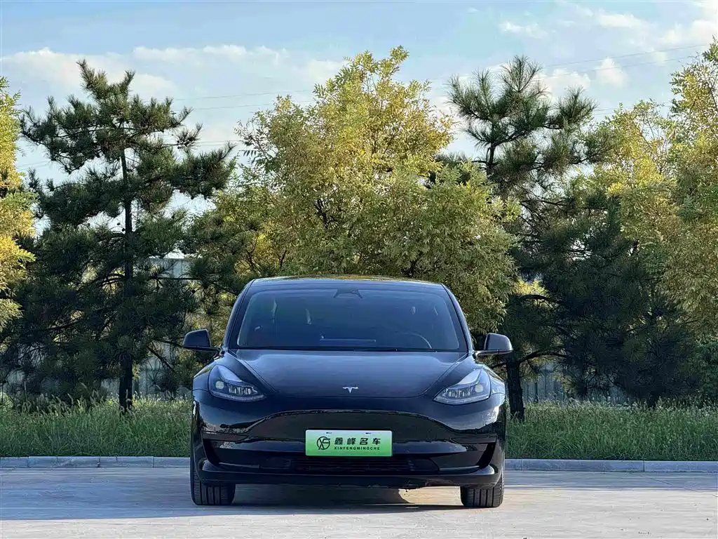 Tesla Model 3 — миниатюра 2