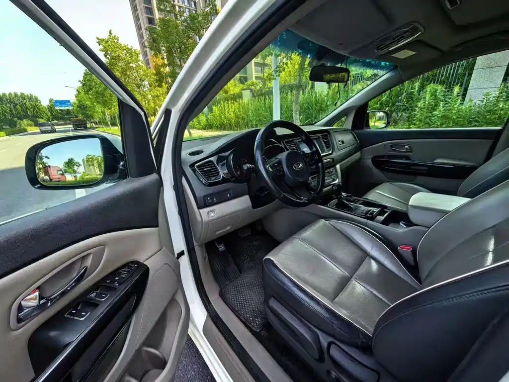 Kia Carnival — миниатюра 4