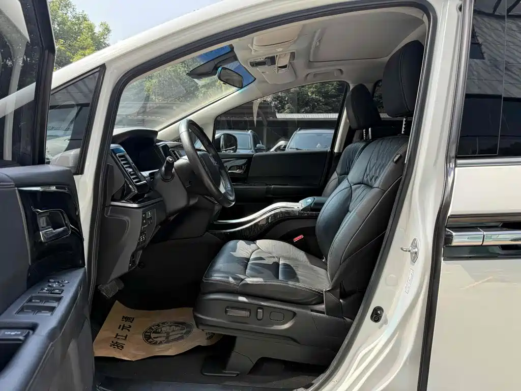 Honda Elysion — миниатюра 11