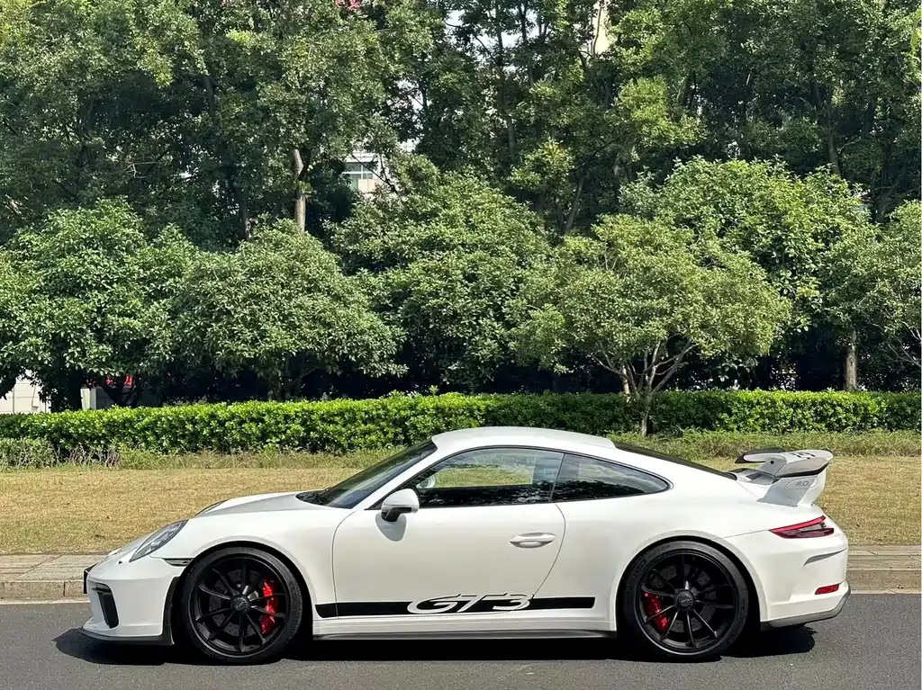 Porsche 911 — миниатюра 5